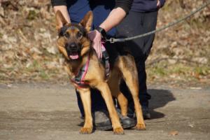 17.02.2019 Training Nanzenbach